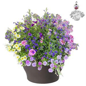 Afbeelding van HP30 XXL Mix 14